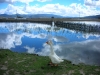 dscn2717