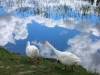 dscn2718